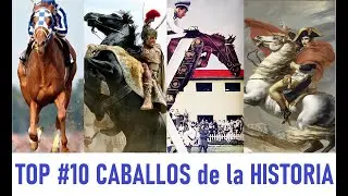 Top 10 Caballos de la Historia. Bucefalo, Gato y Mancha, Marengo, Secretariat, Huaso, son algunos.