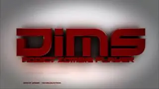 Musique de l'intro de DimsGamer