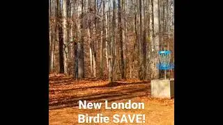Insane BIRDIE SAVE!?! #Shorts #discgolf