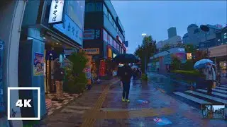 【Countryside】Local Tokyo Heavy Rain Walk | ASMR