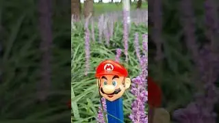 Супер Марио &mdash; боец ​​💪 #mario #animation #adventure #anime #supermario #toys #viralvideo #shorts