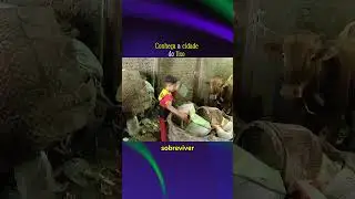 CONHE&Ccedil;A A CIDADE DO LIXO Cairo 🌎