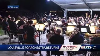 Louisville 'Roarchestra' returns to play live music at Louisville Zoo