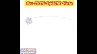 How COVID VACCINE Works