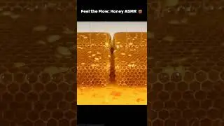 Sticky Honeycomb ASMR 🍯 | #honey #asmr #shorts #aiasmr #ai #viral #foryou #trending #asmrvideo