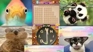 {Word Cookies} Breathtaking Chef Beans levels - level 1 to 20 (celina mak official)