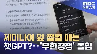제미나이 앞 쩔쩔 매는 챗GPT?‥'무한경쟁' 돌입 (2025.01.02/뉴스투데이/MBC)