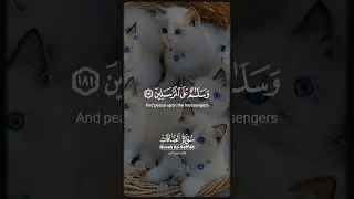 #hadith #duet #cat #unfrezzmyaccount