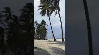 Falling Coconuts