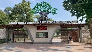 What is the ticket price of Chhatbir Zoo?