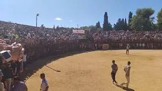fiestas de loeches#toros#fiestas#recortes
