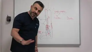 Varis Yaraları ve Venöz Yetmezlik - Prof. Dr. Ahmet AKGÜL