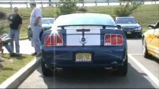 Mustang Madness