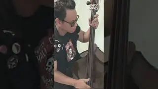 Psychobilly Psychosis #themeteors #psychobilly #basscover #rockabilly #uprightbass #music #cover