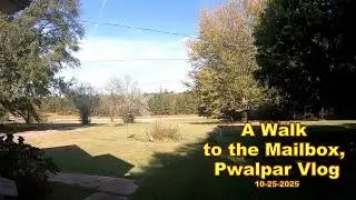 Прогулка к почтовому ящику, Pwalpar Vlog 25 октября 2025 г.