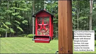 Squirrel Proof Bird Feeder Metal Wild Bird Seed Feeder with Bilateral Weight-Activated Perches