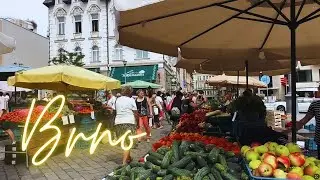 Exploring Brno, Czech Republic (Cathedral of Saint Peter and Paul, &Scaron;pilberk Castle, Central Market)
