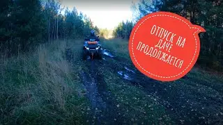 Отпуск на даче продолжается 