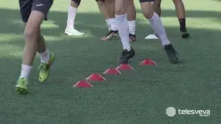 CALCIO GIOVANILE | Soccer Trani, storia di impegno e dedizione coi giovani. Miola oggi a Coverciano
