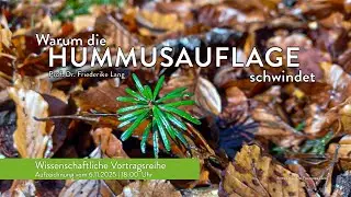 Wenn die Humusauflage 🍂 schwindet I Wissenschaftlicher Vortrag 💬