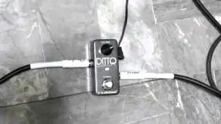 Test TC electronic ditto looper - hutty.weebly.com