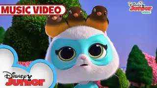 Always In My Heart Music Video 💞 | SuperKitties | @disneyjr​