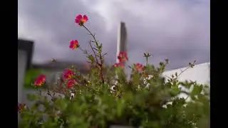 Sa Bawat Puso