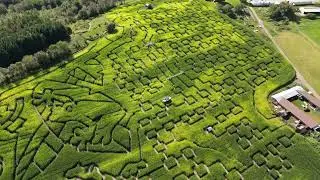 The Great Vermont Corn Maze 4K