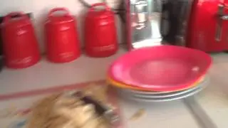 Prank wars bro vs bro salt donut and vinegar drink