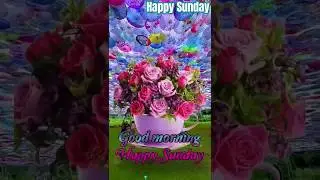 Happy Sunday Good morning wishes 💐💐 Sunday morning status #25february2024 good morning wishes #short