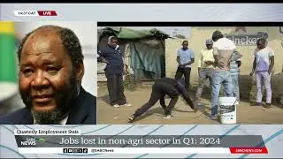 Quarterly Employment Stats | 67 000 formal, non-agri jobs lost in Q1 of 2024: Dr Pali Lehohla
