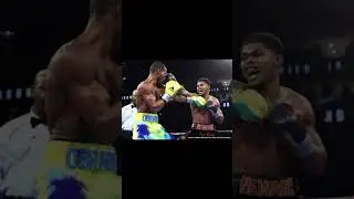 Who Should Zepeda Fight Next Shakira Stevenson or Tank Davis ? #boxing #tank #shakurstevenson
