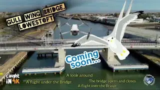 DRONE flies under the Gull Wing Bridge #drone #mini3pro #lovewhereyoulive #gullwing