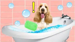 LA NOSTRA CUCCIOLA NON VUOLE FARE IL BAGNO!! Vitto ed Elly