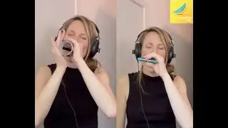 Summer Energy - Jeppe Reil | harmonica by Seelien ☀️🏝️🌄