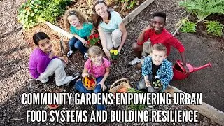 Community Gardens Empowering Urban Food Systems and Building Resilience