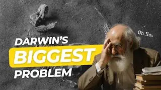 Does The Fossil Record Support Evolution? What Nobody Tells You