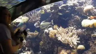 Discovery Place aquarium