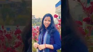Etang sasang sari Assam Dishom kuri santali song . #shorts #sarisantali #shortvideo #song