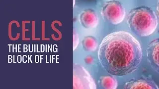 IGSCE/CAIE BIOLOGY- CELLS-THE BUILDING BLOCK OF LIFE