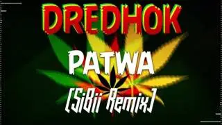 Dredhok - Patwa (SiBii Remix)