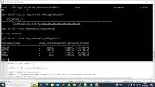 Steps to setup oracle TDE - Transparent Data Encryption