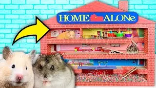 Hamsters Maze 