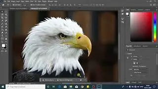 Photoshop: Image Background Remove