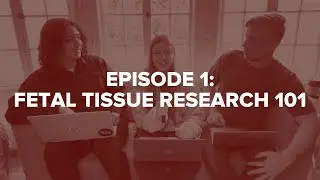 Harvesting Justice | Pilot Episode: Fetal Tissue Research 101