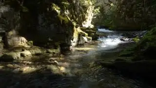 O'brien Creek (Troy, MT)