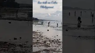 Low tide on Cebu Island, Philippines. Filipinos collecting shells #shorts #philippines #cebu