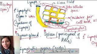 Demystifying Lymph: Formation, Lymph Nodes, and the Lymphatic System | Class 10 Explained