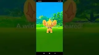 Catching shundo shinx  | 💯 IV +Shiny🥳 | Pokemon Go