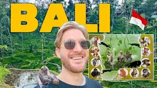 UNFORGETTABLE UBUD 🇮🇩 Bali's INCREDIBLE Monkey PARADISE